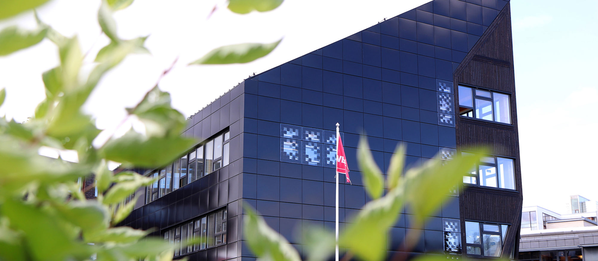 Grønne blader i forgrunn. Bakgrunn moderne kontorbygg. Foto.